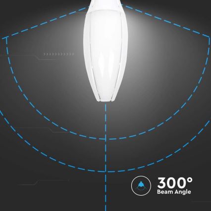 LED Lamp SAMSUNG CHIP E40/60W/230V 6500K