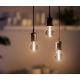 LED Lamp VINTAGE Philips A60 E27/2,3W/230V 1800K