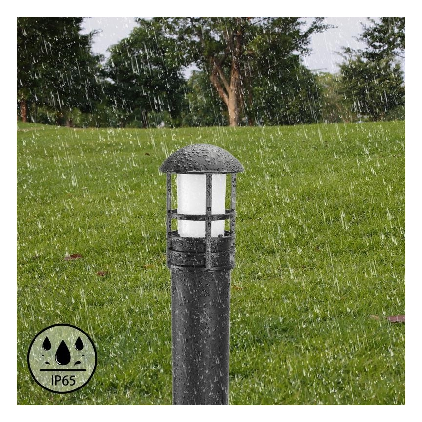 LED Lamp voor Buiten LED/3W/230V 4000K IP65