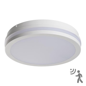 LED Lamp voor Buiten met Sensor BENO LED/24W/230V 4000K wit IP54