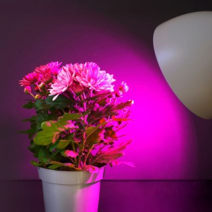 LED Lamp voor plantengroei PLANTY E27/11W/230V 1200K wit