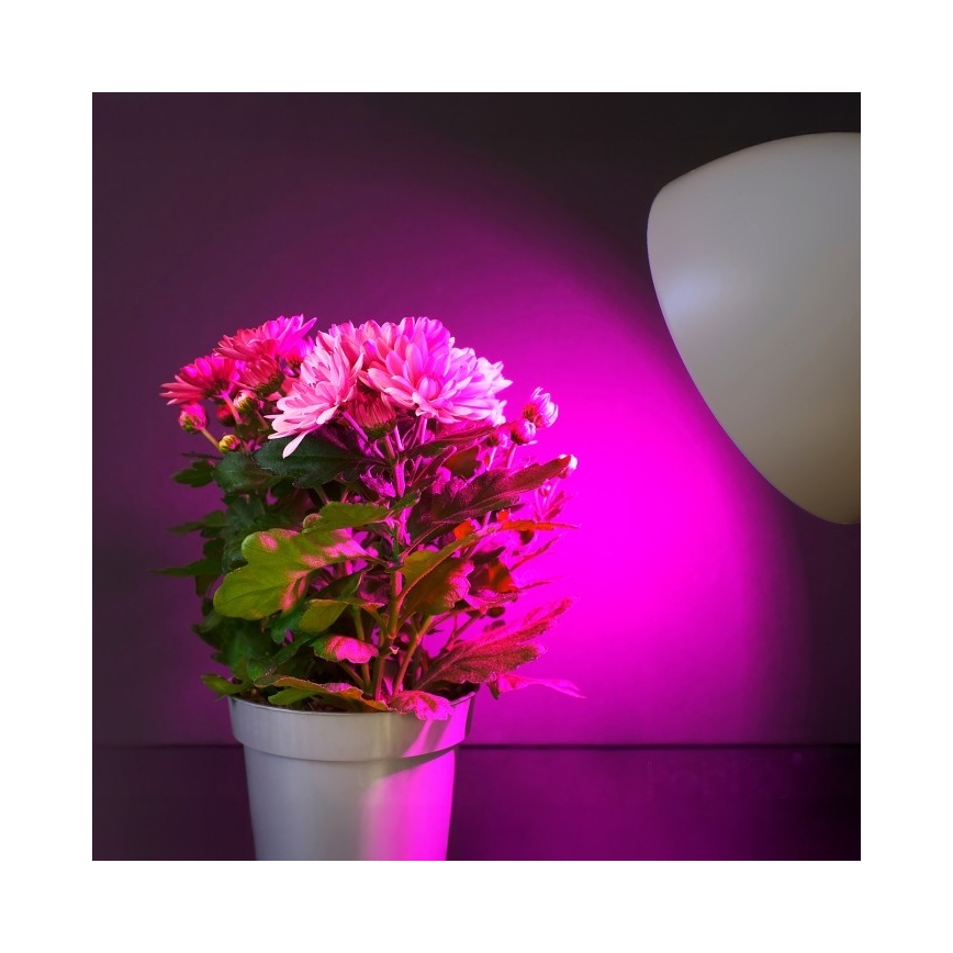 LED Lamp voor plantengroei PLANTY E27/11W/230V 1200K wit