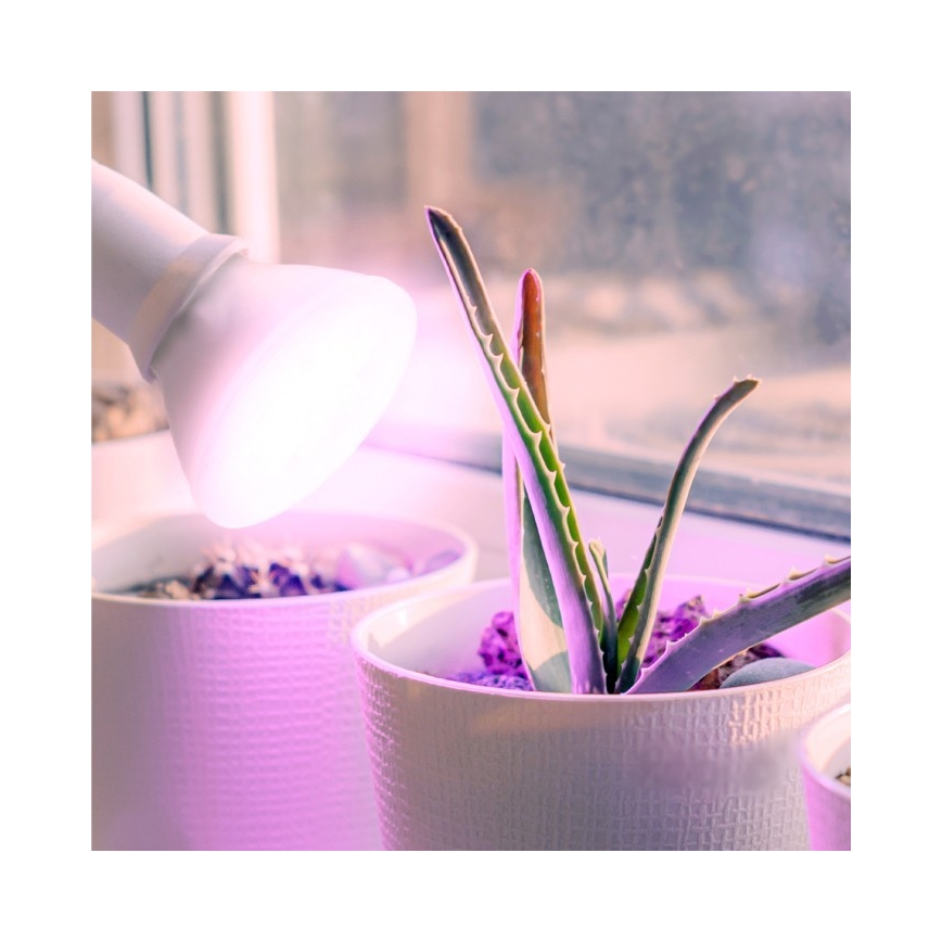 LED Lamp voor plantengroei PLANTY E27/7W/230V 1200K wit