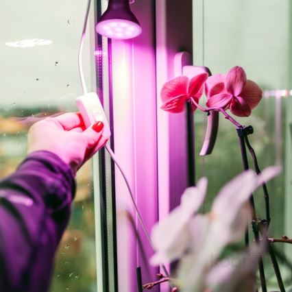 LED Lamp voor plantengroei PLANTY E27/7W/230V 1200K zwart