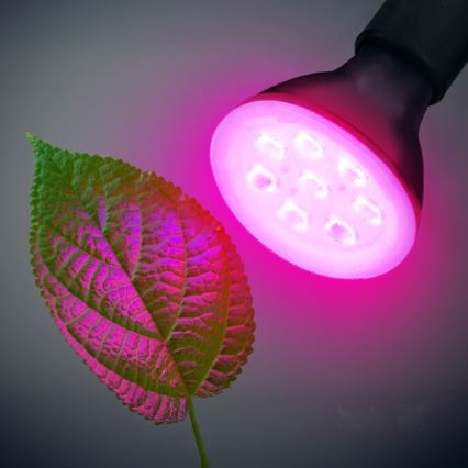 LED Lamp voor plantengroei PLANTY E27/7W/230V 1200K zwart