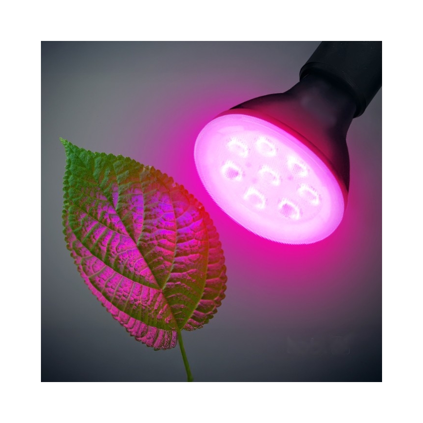 LED Lamp voor plantengroei PLANTY E27/7W/230V 1200K zwart