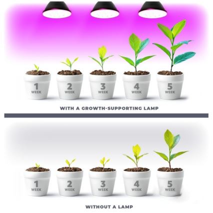LED Lamp voor plantengroei PLANTY E27/7W/230V 1200K zwart
