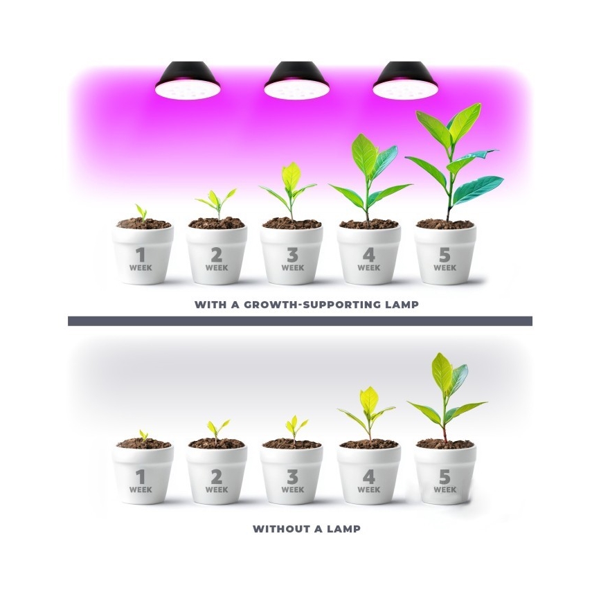LED Lamp voor plantengroei PLANTY E27/7W/230V 1200K zwart