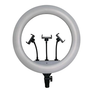 LED Lampe à intensité variable avec un support et support pour le vlogging LED/55W/230V CRI 90 + télécommande