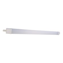 LED Lampe fluorescente DAISY LED/40W/230V 4000K IP65