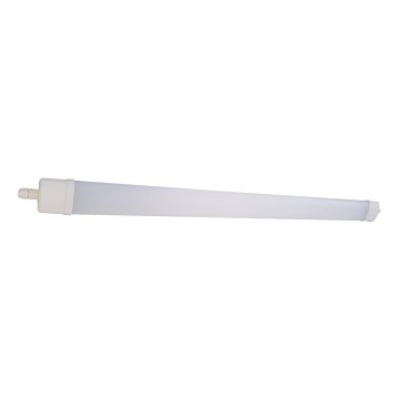 LED Lampe fluorescente DAISY LED/40W/230V 4000K IP65