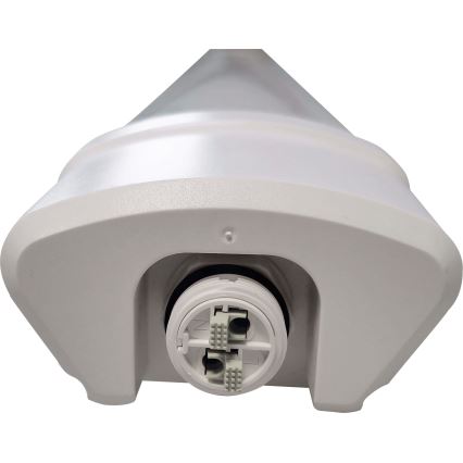 LED Lampe fluorescente DAISY LED/40W/230V 4000K IP65