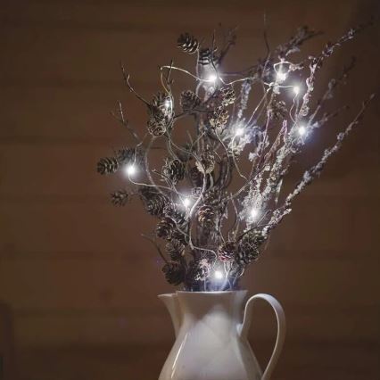 LED-lichtsnoer 20xLED/2xAA, 2,4 m, koud wit