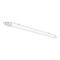 LED Luminaire fluorescent industriel LED/18W/230V 6500K IP65 60 cm