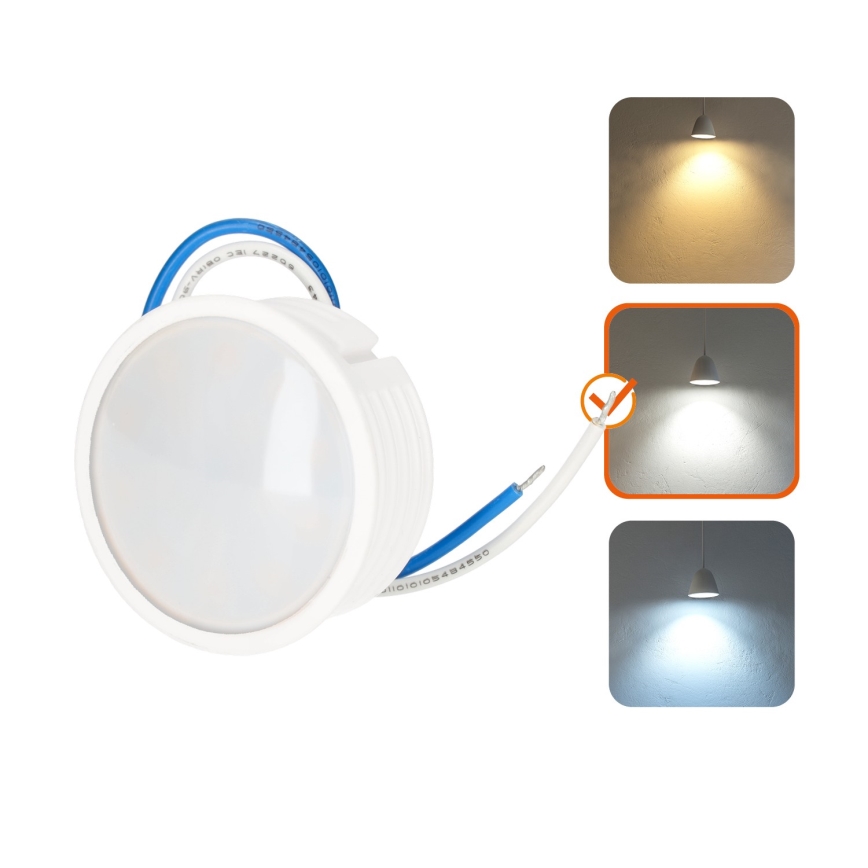 LED-Module LED/6,5W/230V 4000K