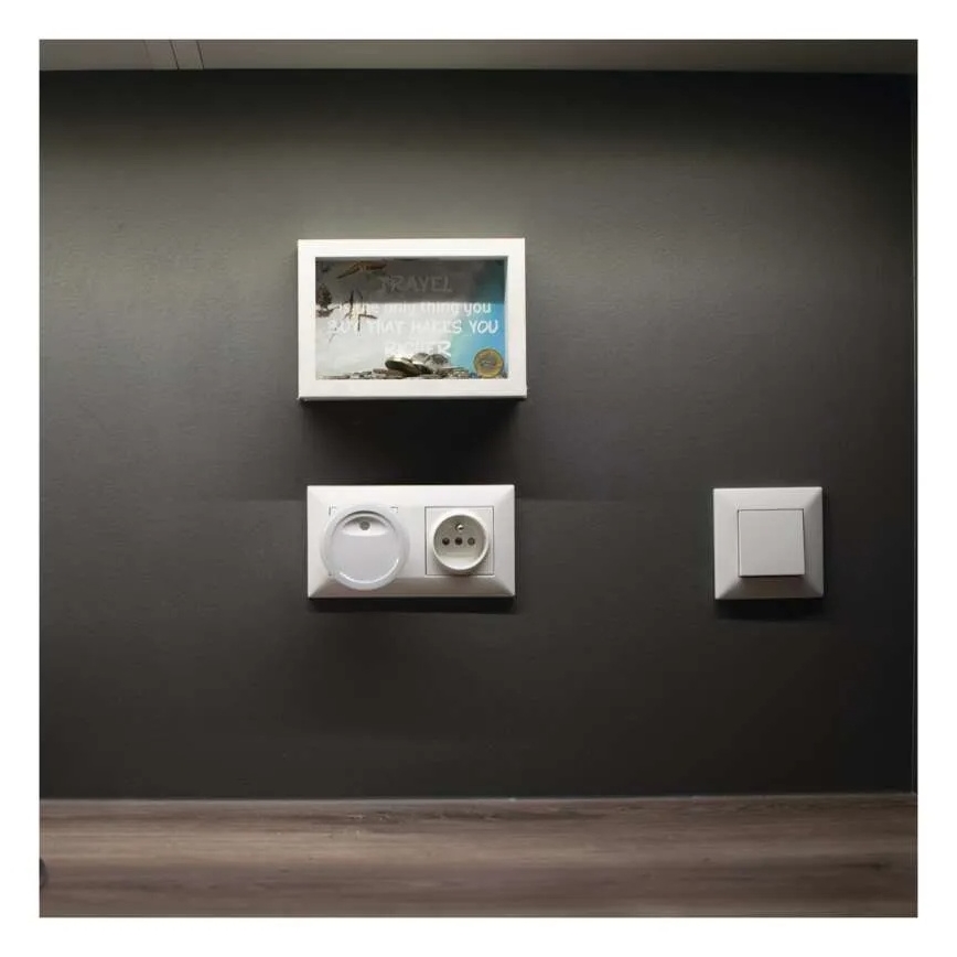 LED nachtlamp met schemersensor LED/0,3W/230V