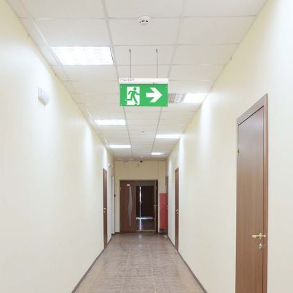 LED Noodverlichting EMERGENCY EXIT LED/2,5W/230V 4in1 6000K