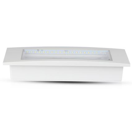 LED Noodverlichting NOODUITGANG SAMSUNG CHIP LED/3,8W/230V 6000K