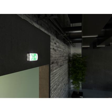 LED Noodverlichting VIRGO EVO LED/1W/230V 6000K IP65