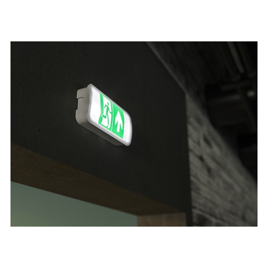 LED Noodverlichting VIRGO EVO LED/1W/230V 6000K IP65