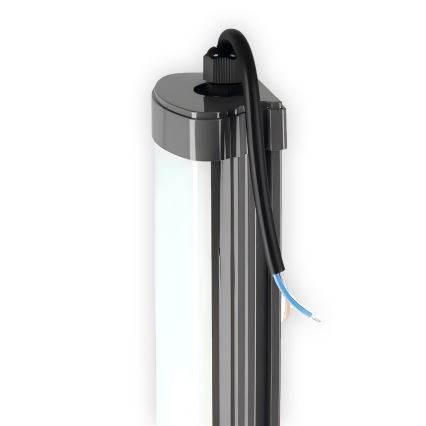 LED Onder keukenkast verlichting LED/60W/230V 6000K 120 cm IP65 zwart