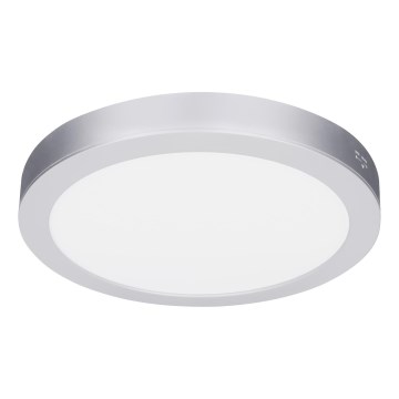 LED opbouw-/inbouwpaneel 2-in-1 24W/230V 3000/4000/6000K Ø 30 cm IP54 zilver