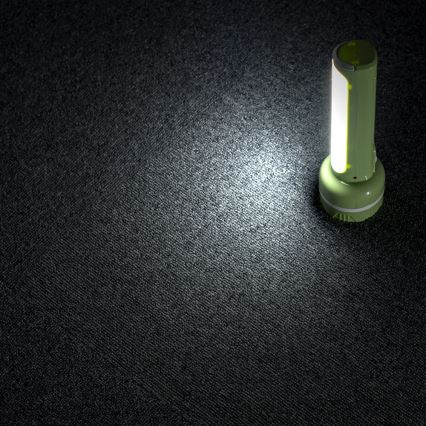 LED Oplaadbare zaklamp LED/1W/230V 330 glanzend 1000 mAh