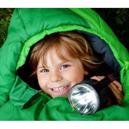 LED-oplaadbare zaklamp LED/5V 500 lm 1200 mAh zwart