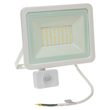 LED Outdoor floodlight with a sensor NOCTIS LUX 2 LED/50W/230V 4000K IP44 white