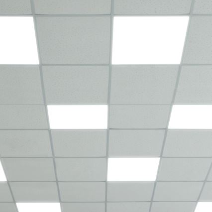 LED Paneel LED/48W/230V 4000K 60x60 cm