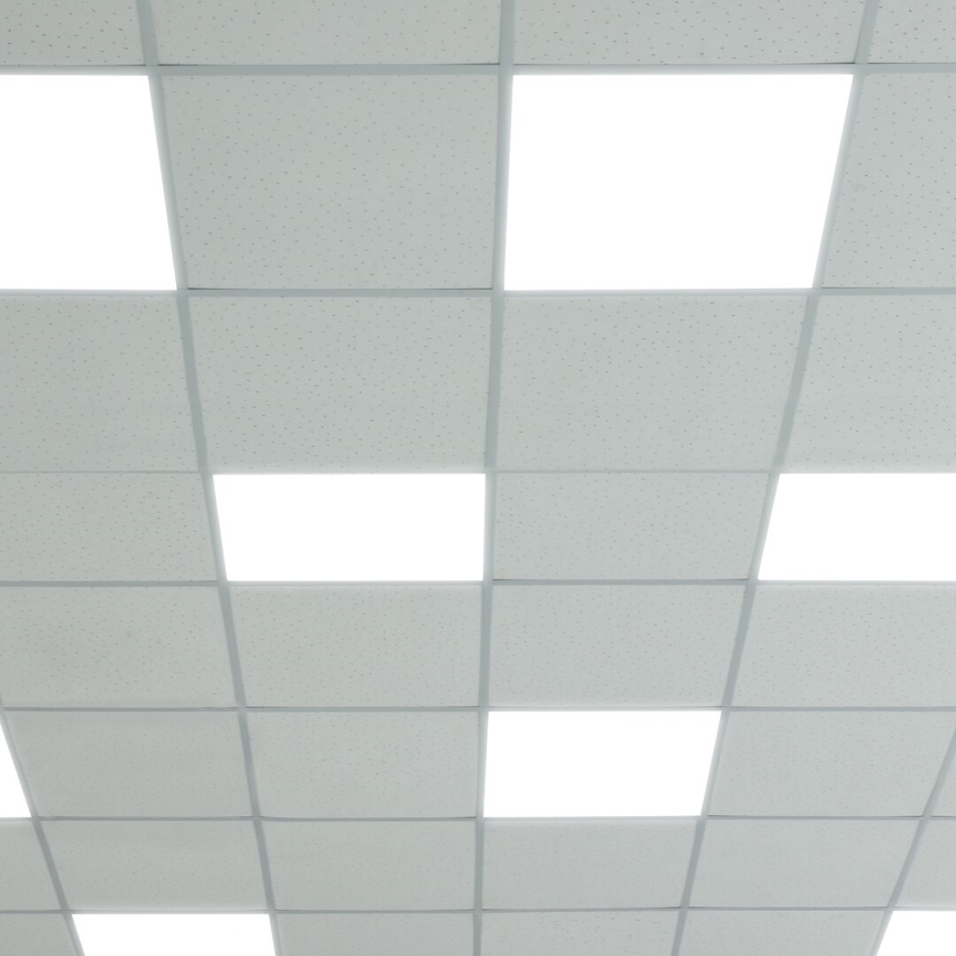LED Paneel LED/48W/230V 4000K 60x60 cm