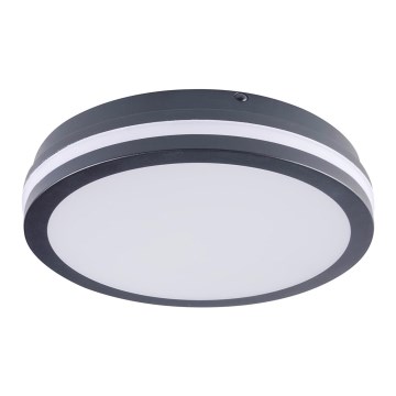 LED Plafond Lamp voor Buiten BENO LED/24W/230V 4000K antraciet IP54