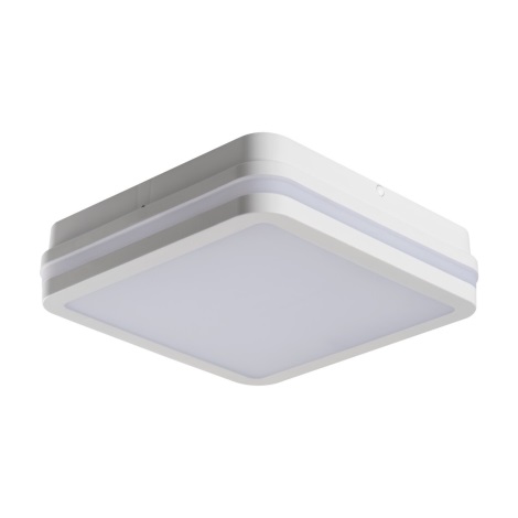 dennenboom Uitputting auteursrechten Kanlux 32946 - LED Plafond Lamp voor buiten met Sensor BENO LED/18W/230V  4000K wit IP54 | Lumimania