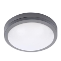 LED Plafond Lamp voor Buiten met Sensor SIENA LED/20W/230V IP54