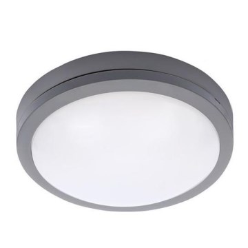 LED Plafond Lamp voor Buiten met Sensor SIENA LED/20W/230V IP54