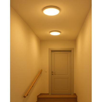 LED-plafondlamp 18W/230V 3000/4000/6500K Ø 23 cm wit