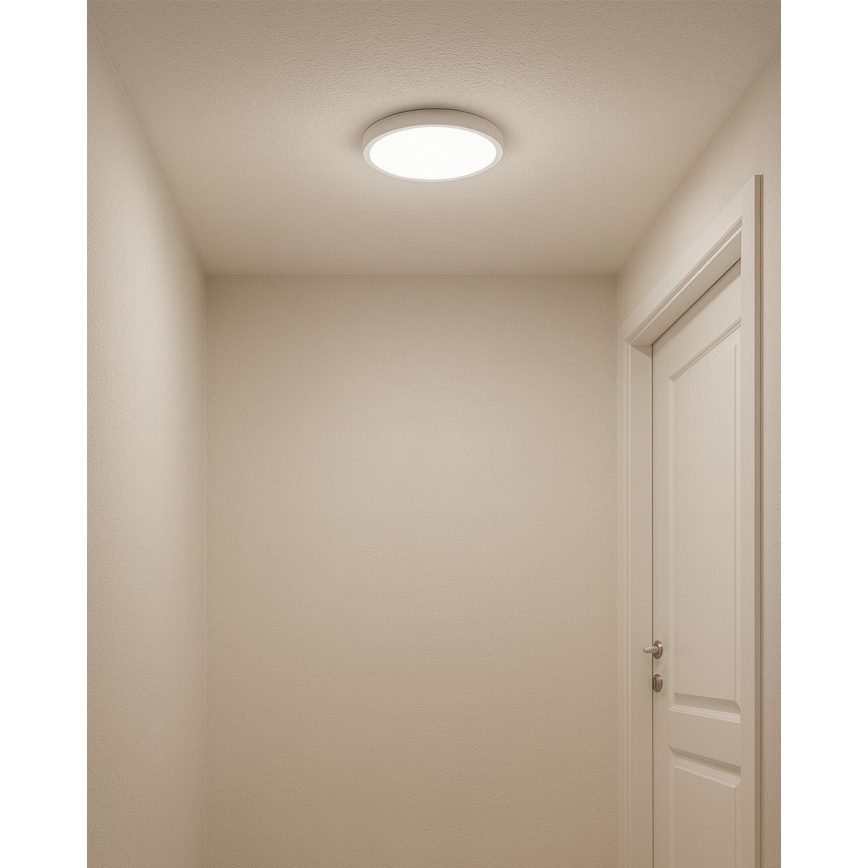 LED-plafondlamp 18W/230V 3000/4000/6500K Ø 23 cm wit