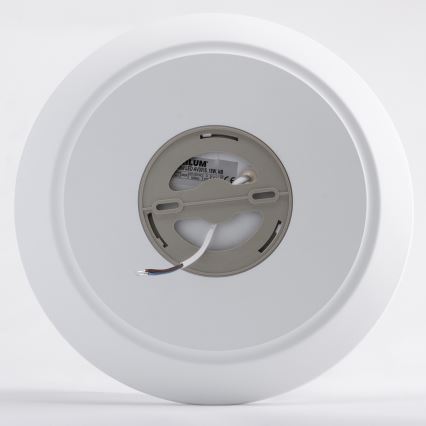 LED Plafondlamp AVESTA LED/18W/230V 4000K IP54