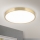 LED Plafondlamp BULLY LED/28W/230V diameter 28 cm goud
