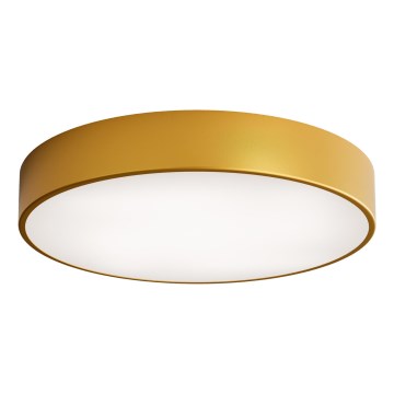 LED Plafondlamp CLEO LED/69W/230V 4000K diameter 50 cm goud