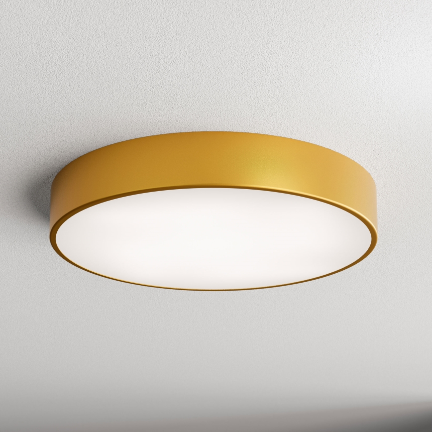 LED Plafondlamp CLEO LED/69W/230V 4000K Ø 50 cm goudkleurig