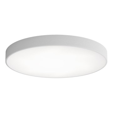LED Plafondlamp CLEO LED/96W/230V 4000K diameter 80 cm grijs