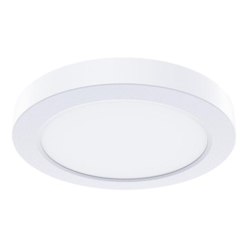 LED-plafondlamp EVORA LED/6W/230V 3000/4000/6000K Ø 14 cm wit