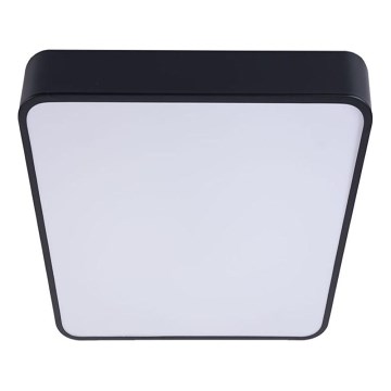 LED Plafondlamp FELIZ LED/50W/230V 4000K 40x60 cm zwart