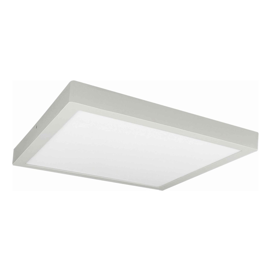 LED Plafondlamp FENIX LED/32W/230V 3800K 40 cm wit