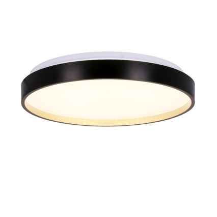 LED Plafondlamp FLORIDA LED/18W/230V zwart