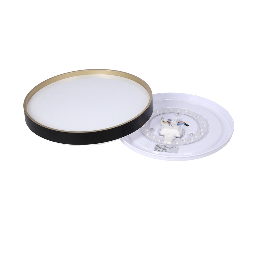 LED Plafondlamp FLORIDA LED/18W/230V zwart