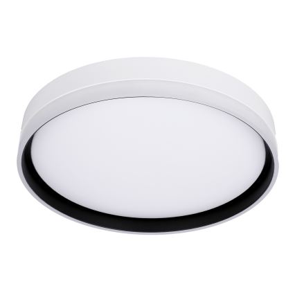 LED Plafondlamp FLORIDA LED/24W/230V wit