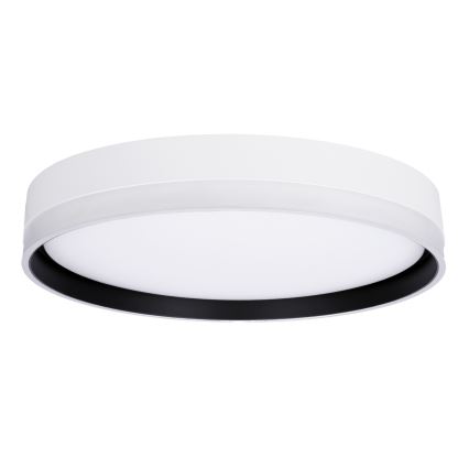 LED Plafondlamp FLORIDA LED/24W/230V wit