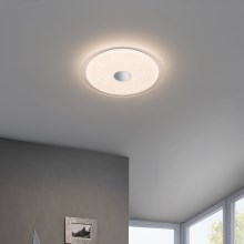 LED Plafondlamp IGROKA LED/18,8W/230V